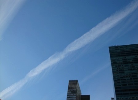 b0173754_329527.jpg