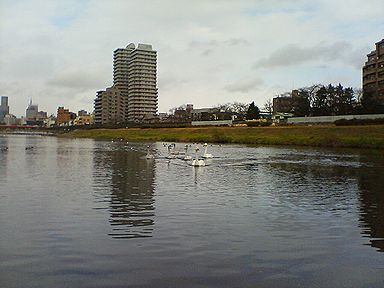 a0096557_20471049.jpg