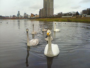 a0096557_2048383.jpg