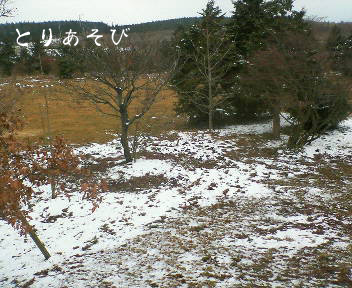 雪遊び_e0147757_2124872.jpg