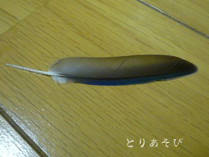 雪遊び_e0147757_21261921.jpg