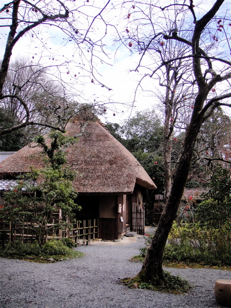 京都　2009嵐山花灯路　落柿舎。_e0125762_1940733.jpg