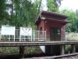 f0106664_6574930.jpg
