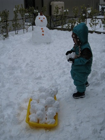 ジュニア、雪遊びをする　その3_d0081481_18262121.jpg