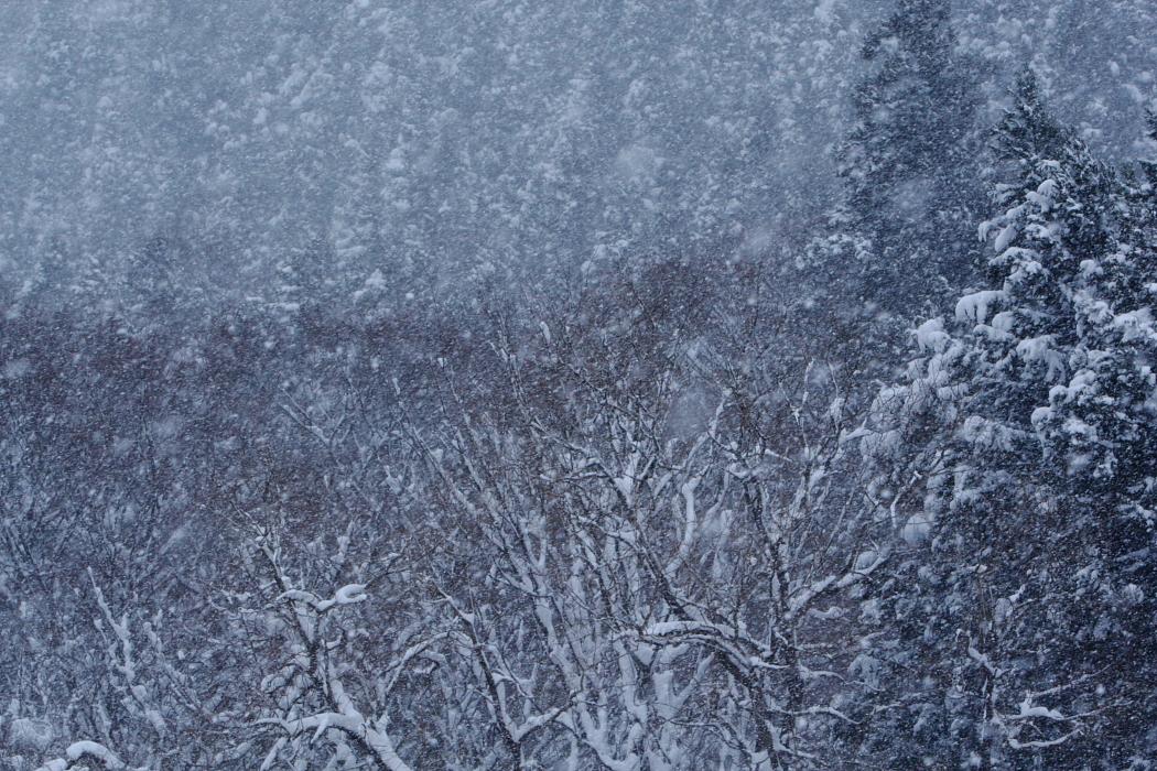 雪景色　　磐梯熱海～中山峠_e0143883_6381663.jpg