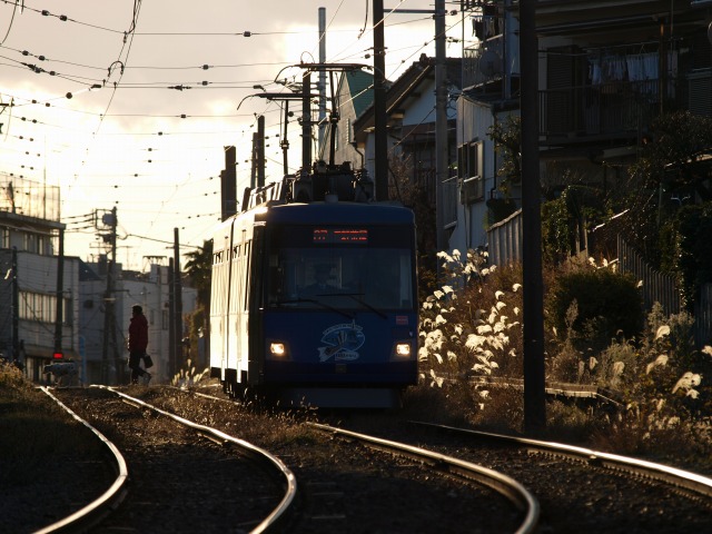 久々の鉄道写真は_d0016584_0512158.jpg