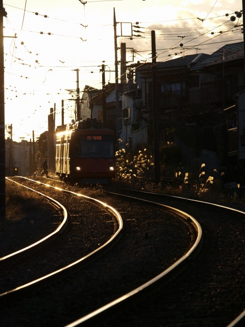 d0016584_0551272.jpg