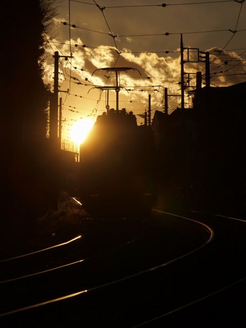 d0016584_0595911.jpg
