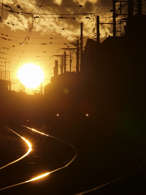 d0016584_104821.jpg