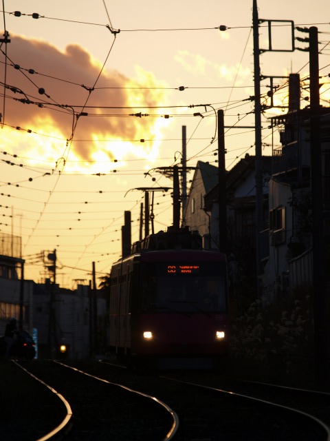 d0016584_12964.jpg