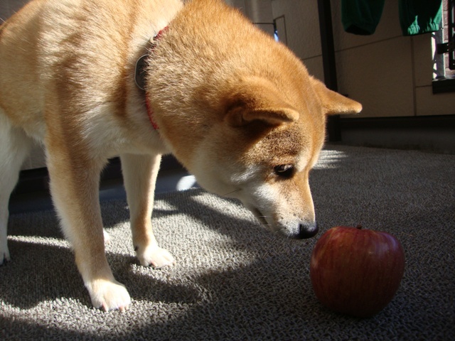 a0126590_7674.jpg