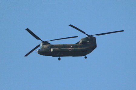 d0133693_2461274.jpg