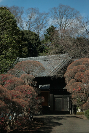 d0133693_2461784.jpg