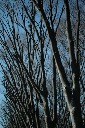 d0133693_246270.jpg