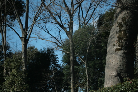 d0133693_2462780.jpg