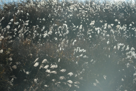 d0133693_2464225.jpg