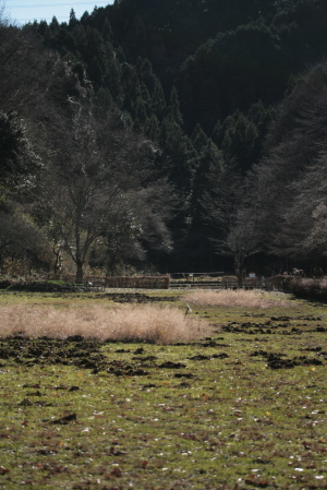 d0133693_246521.jpg
