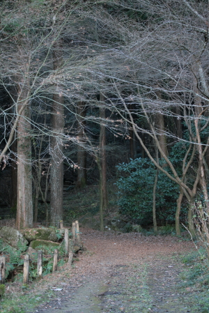 d0133693_24784.jpg