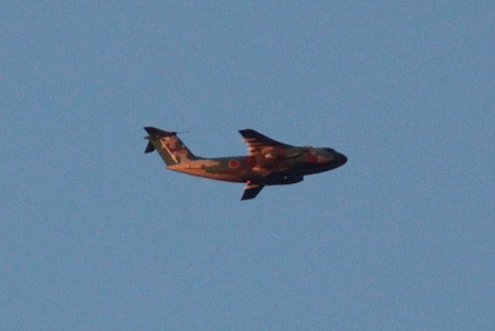 d0133693_539271.jpg