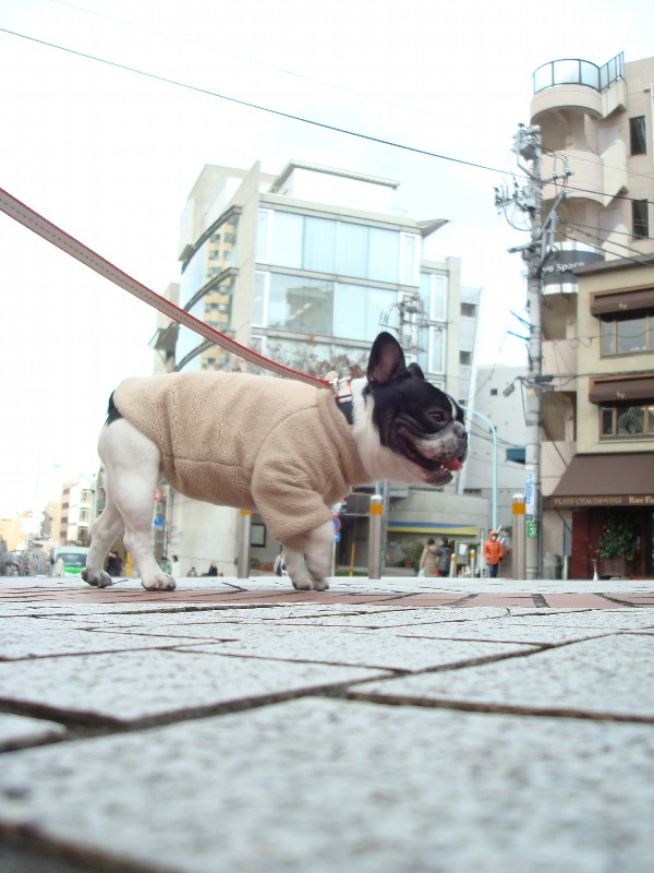 ふらっと恵比寿_b0128098_1751587.jpg