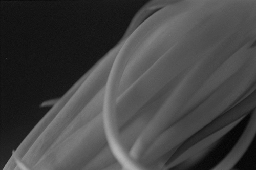 a0104905_22412772.jpg
