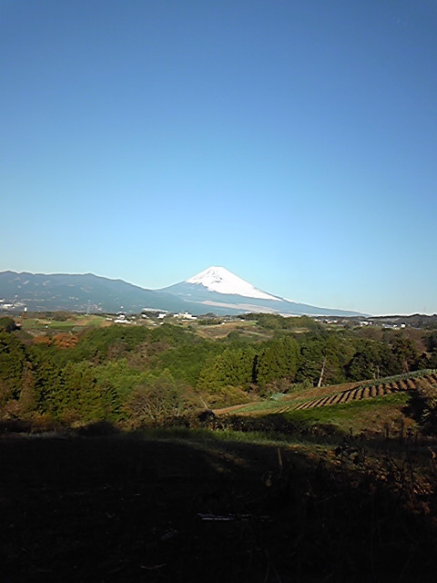 e0015108_21271282.jpg