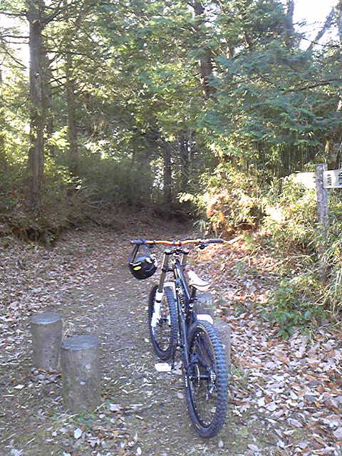 e0015108_2135369.jpg