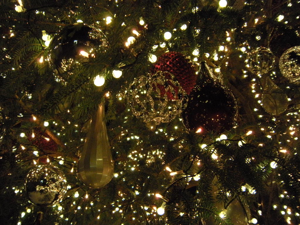 c0201411_051624.jpg