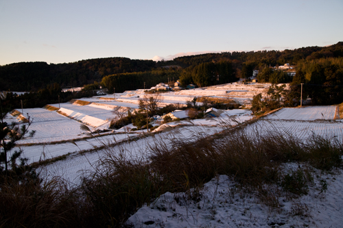 a0096313_1755569.jpg
