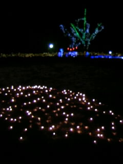 f0196014_11102948.jpg