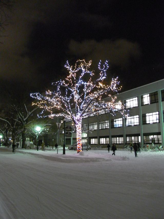 c0025115_2042534.jpg