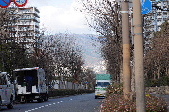 冬景色・スズメジロ・月_a0037019_643589.jpg