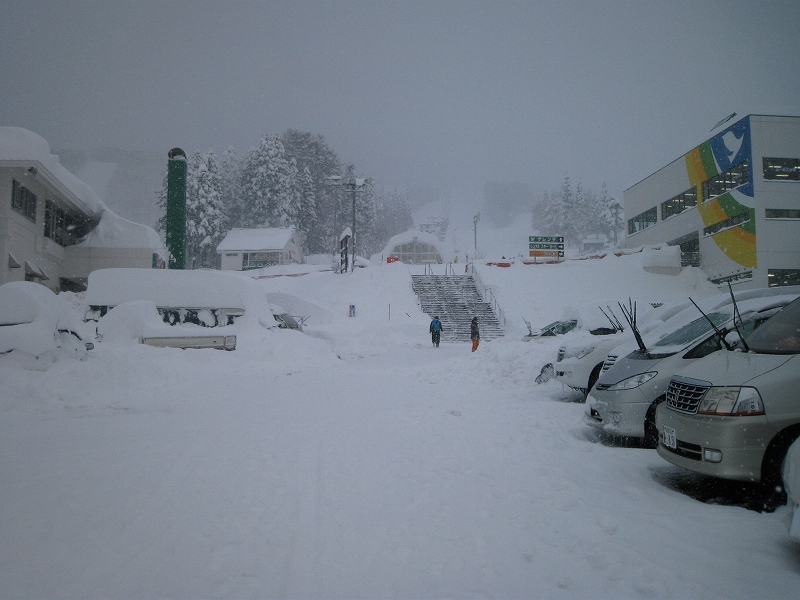 大雪警報の真っ只中、今シーズン初スノースクート！_a0048323_0534064.jpg