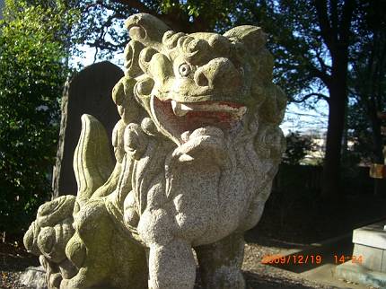 小金八坂神社の狛犬_d0065324_2057444.jpg