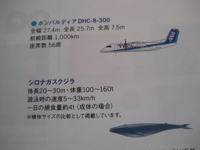d0147727_8291253.jpg