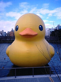 d0048332_17175498.gif