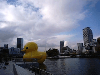 d0048332_17202132.gif