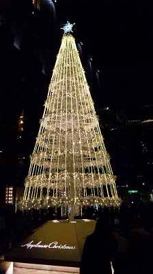 c0155633_205846.jpg
