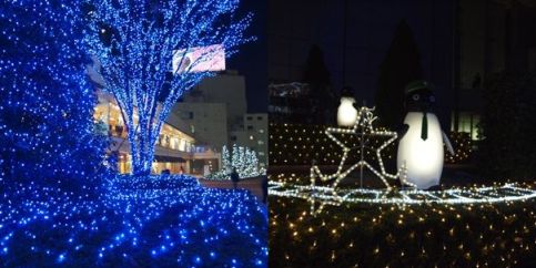 ブルー&ホワイト・クリスマス♪_a0138134_1934350.jpg