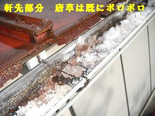 屋根改修工事_f0031037_19592851.jpg