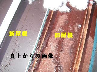 屋根改修工事_f0031037_2014540.jpg