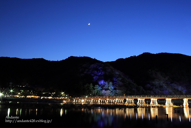 京都・嵐山花灯路2009_a0121740_1791796.jpg