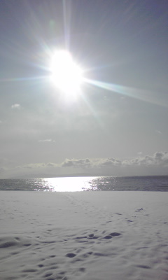 c0179647_10255683.jpg