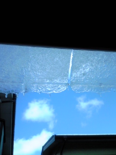 d0109356_14125067.jpg