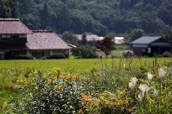 心に残った風景_f0147858_22362014.jpg