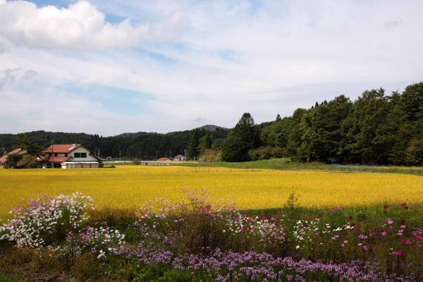 心に残った風景_f0147858_22363591.jpg