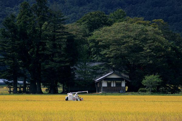 心に残った風景_f0147858_22364585.jpg