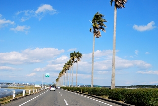 a0112572_1715250.jpg