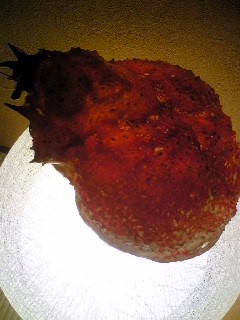 満腹すぎる夜_b0016474_1954932.jpg