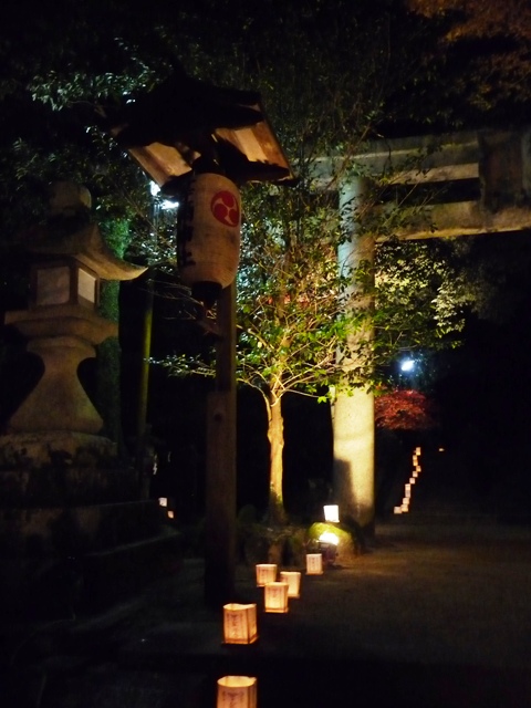 等彌神社の紅葉ライトアップ　３_d0042474_23492965.jpg